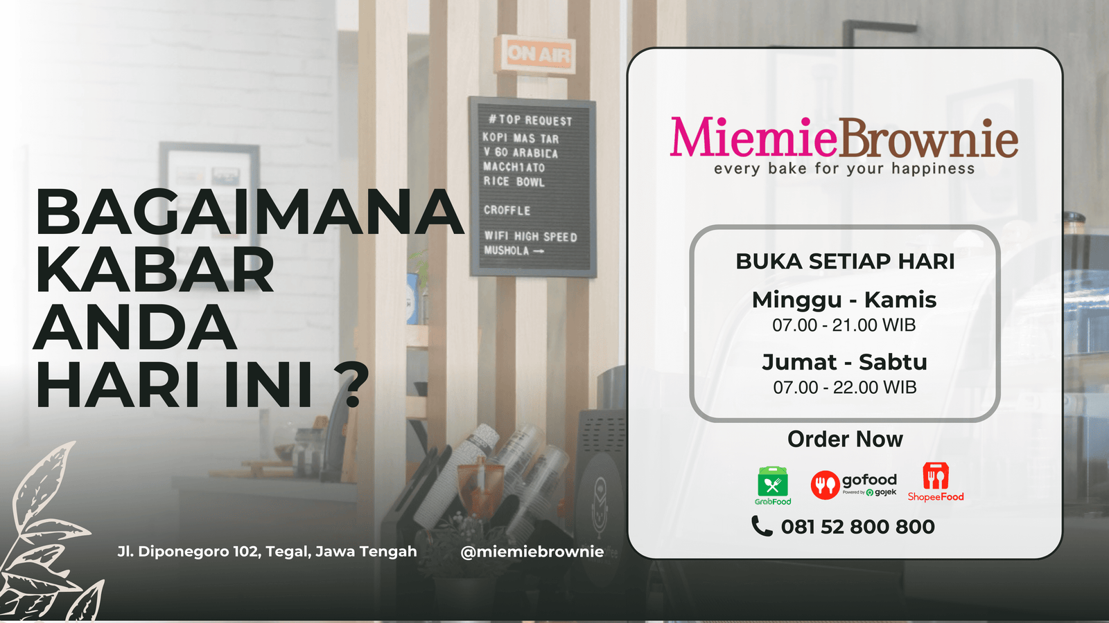 Info Miemie Brownie